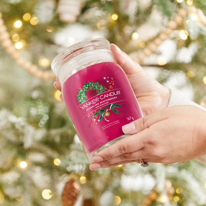 Sparkling Winterberry