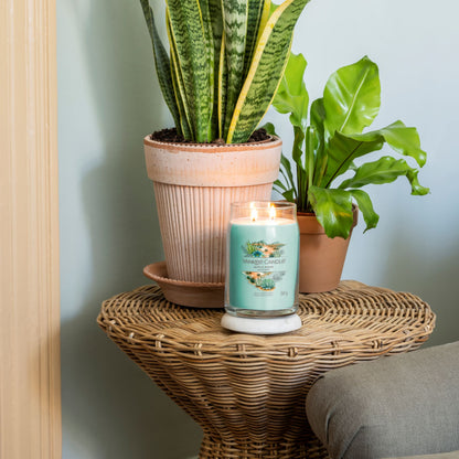 Aloe & Agave