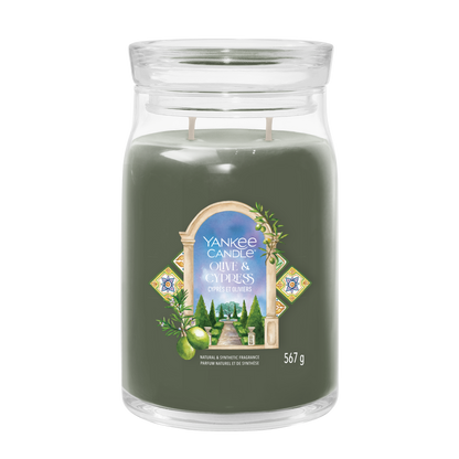 Olive & Cypress