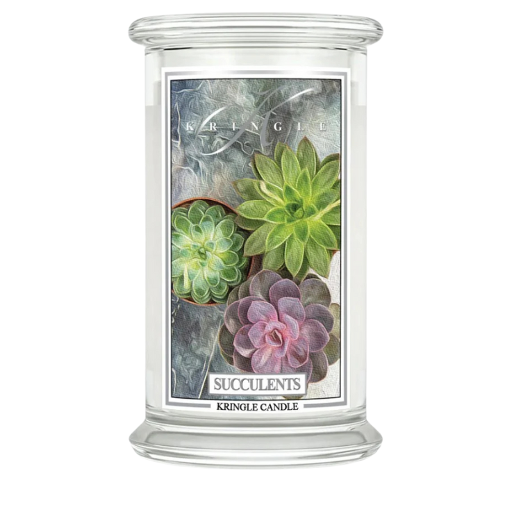 Succulents