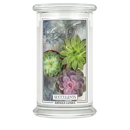 Succulents