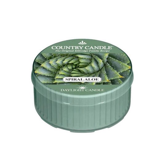 Spiral Aloe