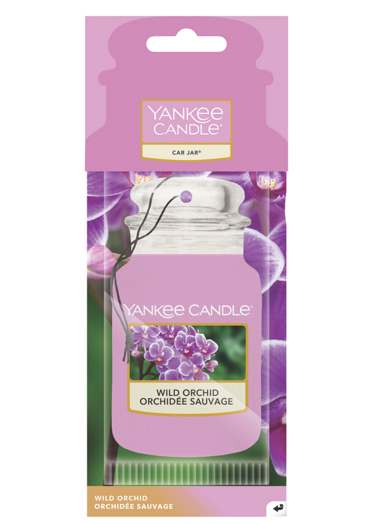 Wild Orchid