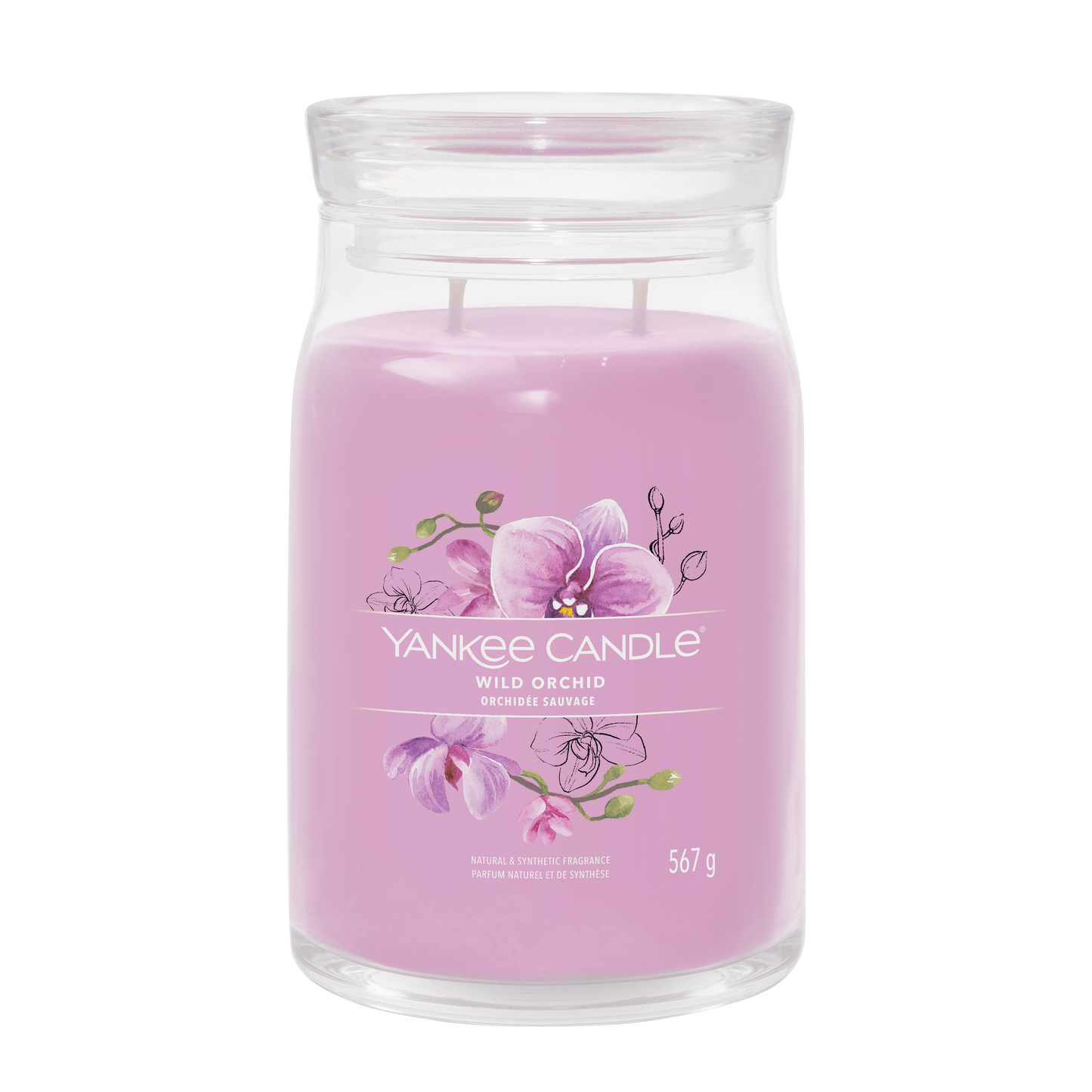 Wild Orchid