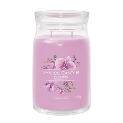 Wild Orchid
