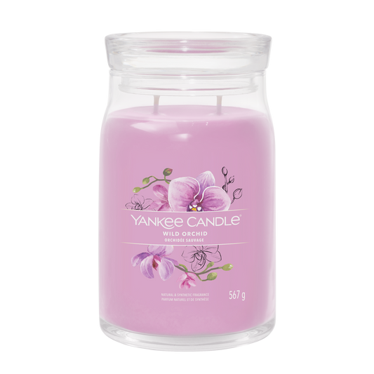 Wild Orchid