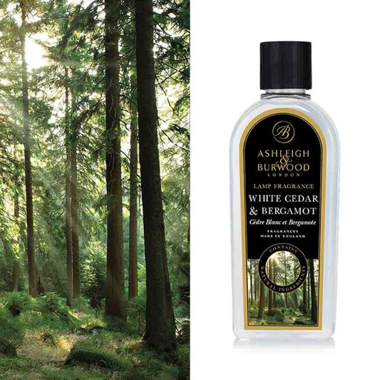 White Cedar & Bergamot