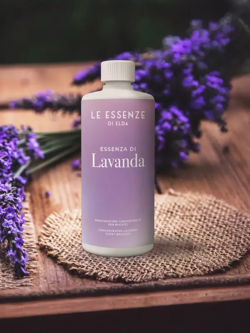 Lavanda