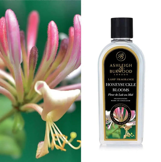 Honeysuckle Blooms