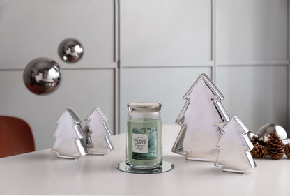 Silver Sage & Pine