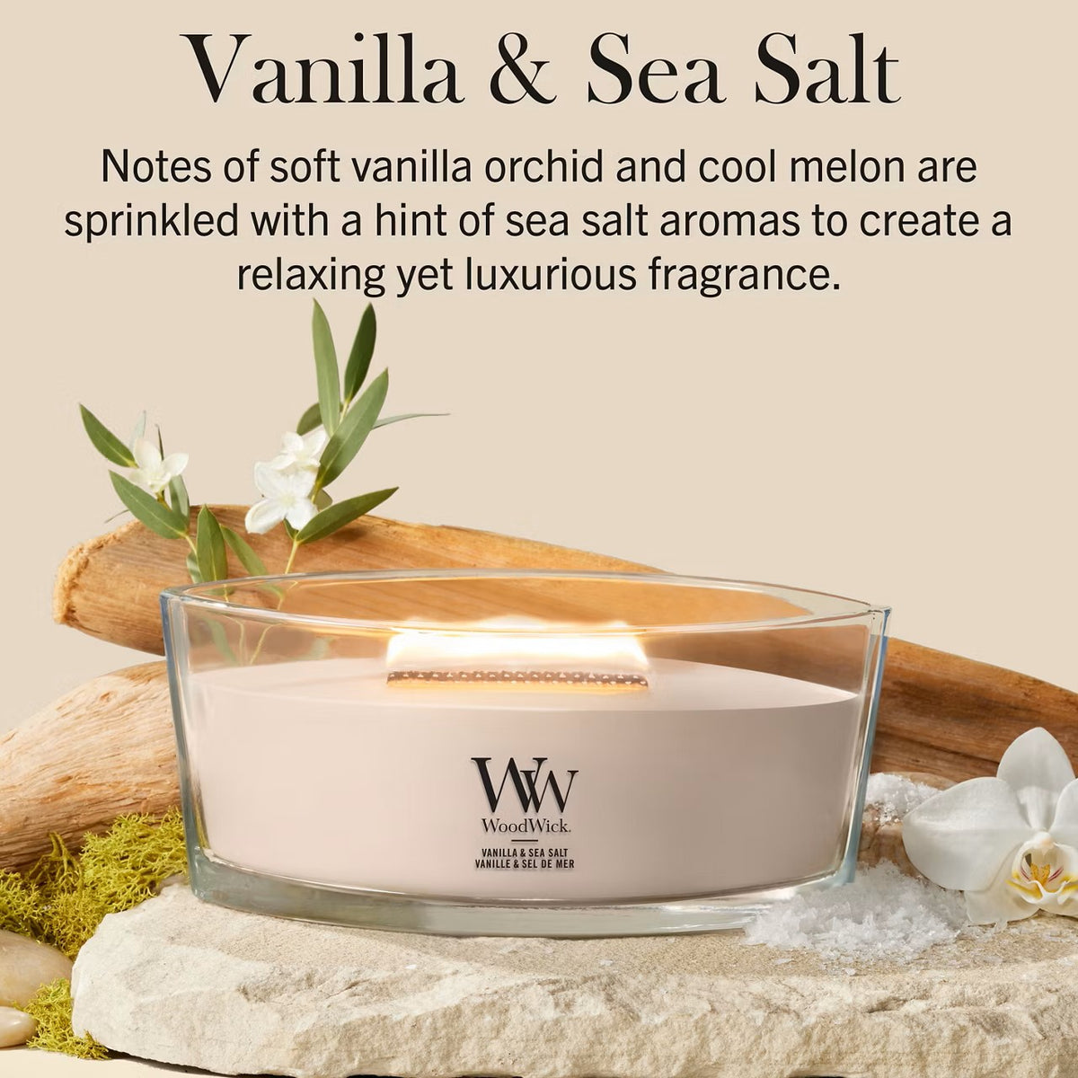 Vanilla & Sea Salt