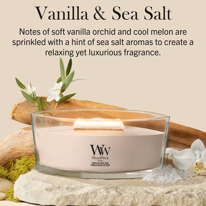 Vanilla & Sea Salt