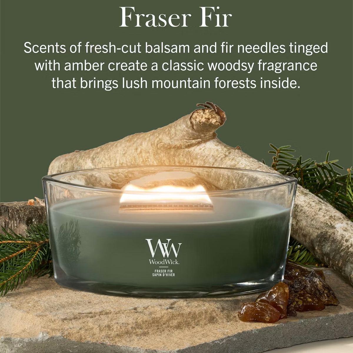 Frasier Fir