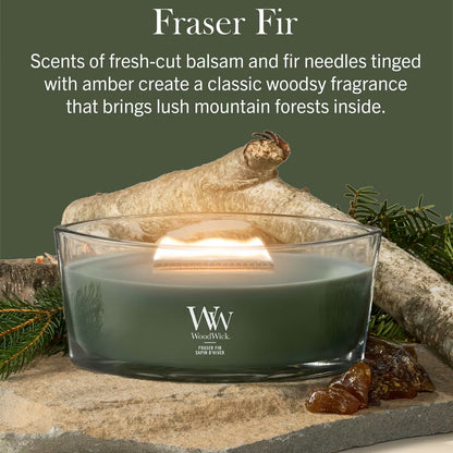 Frasier Fir