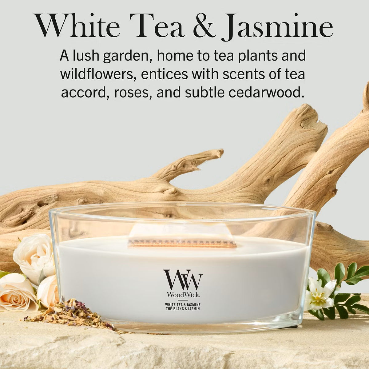 White Tea & Jasmine