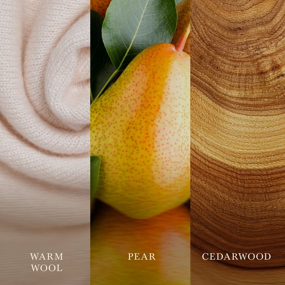 Cashmere