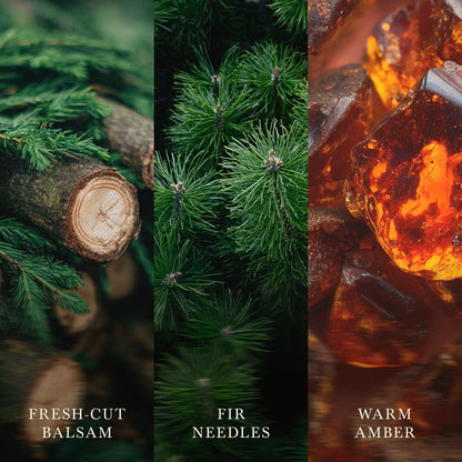 Frasier Fir