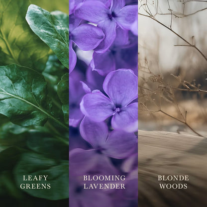 Lavender & Cedar
