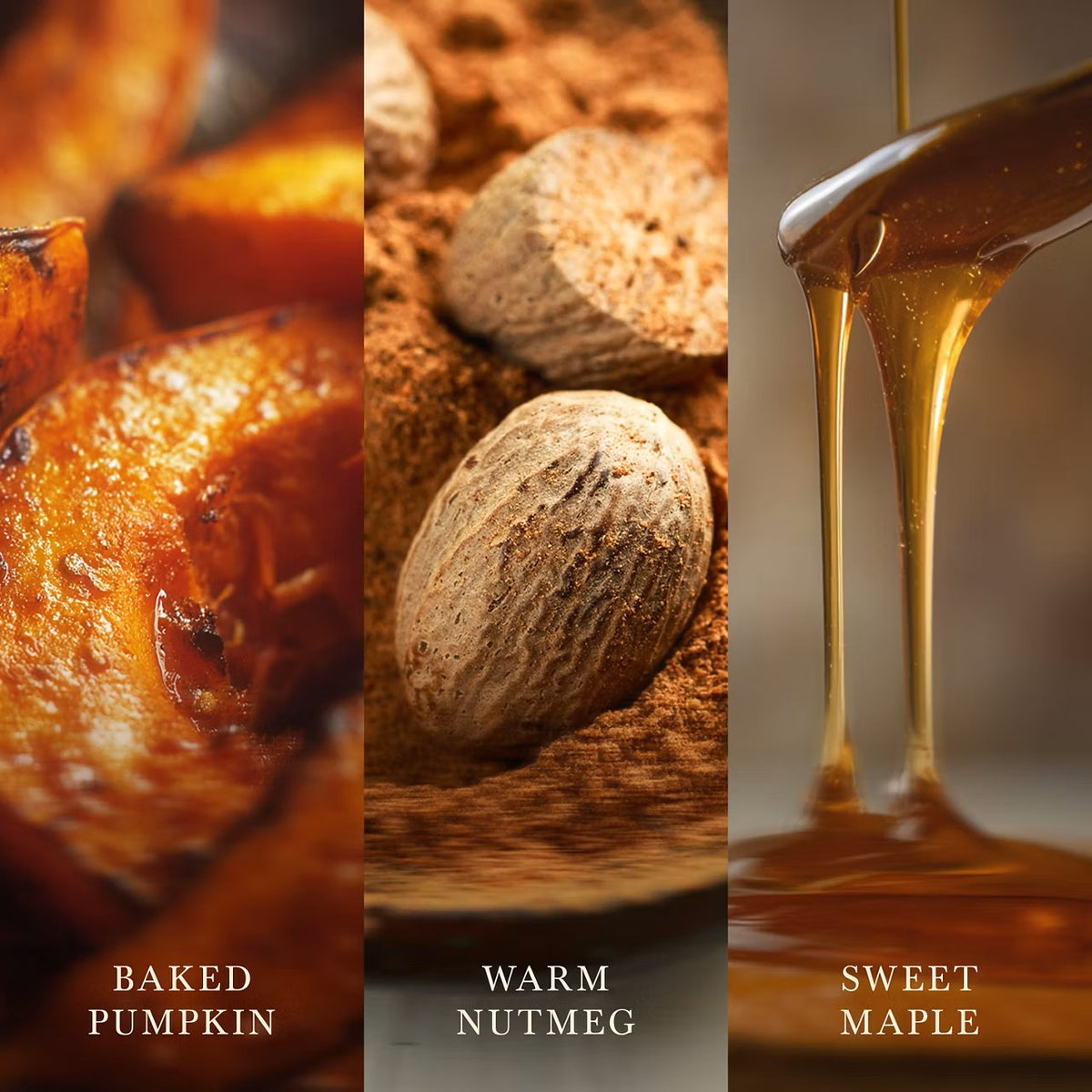 Pumpkin Praline