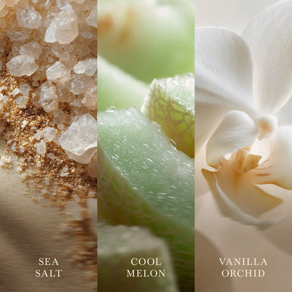Vanilla & Sea Salt