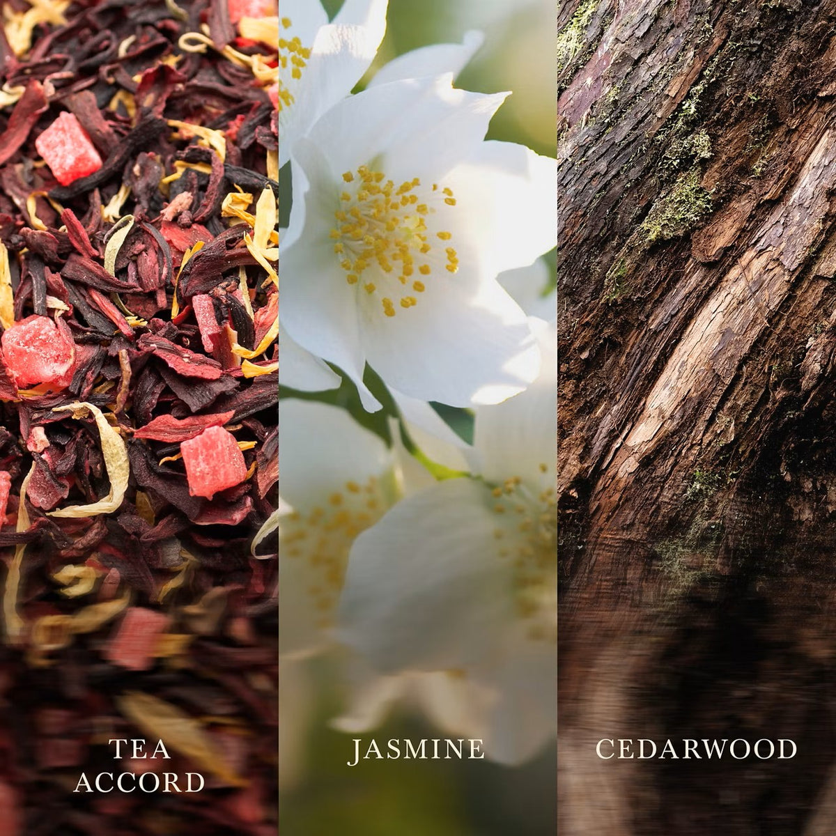 White Tea & Jasmin