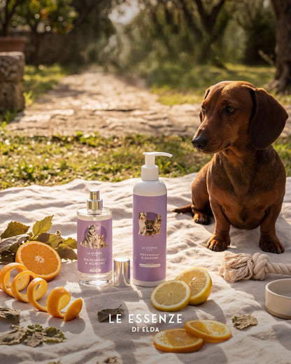 Hondenshampoo Patchouli & Agrumi