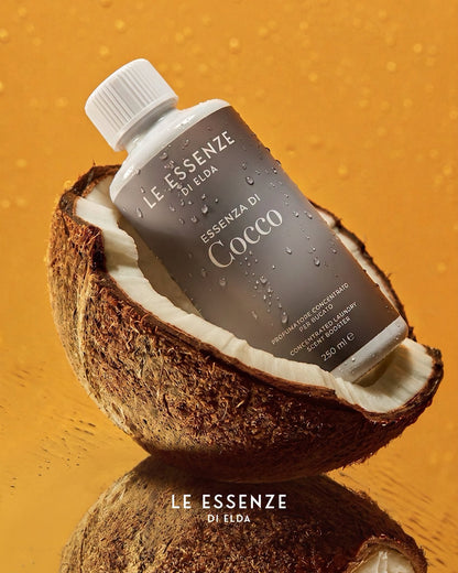 Cocco