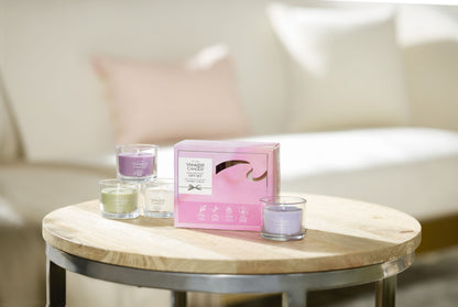 Mini's Discovery 4 Mini Jar Gift Set