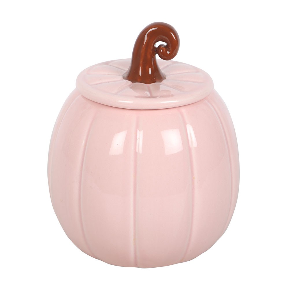 Pink Curly Pumpkin Wax & Oil Burner