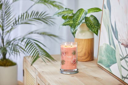 Tropical Breeze