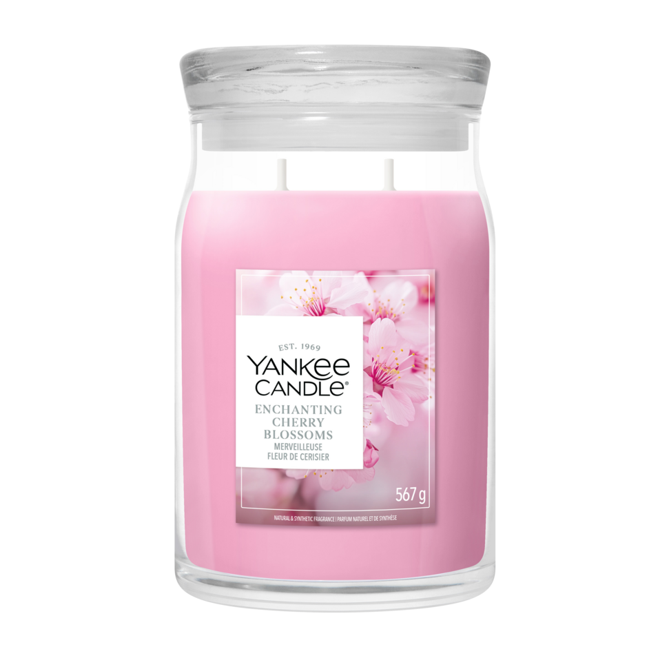 Enchanting Cherry Blossom