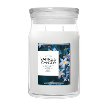 Midnight Jasmine
