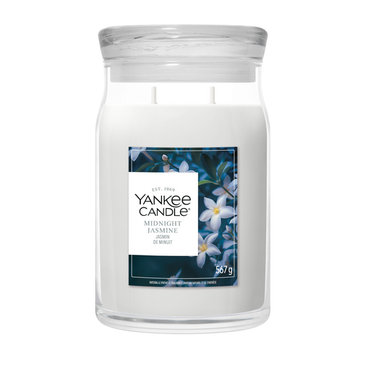 Midnight Jasmine