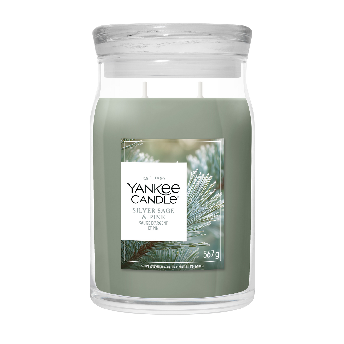 Silver Sage & Pine