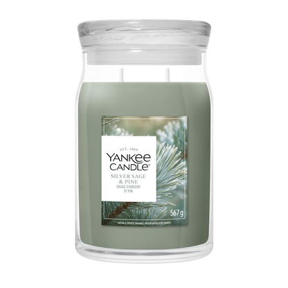 Silver Sage & Pine