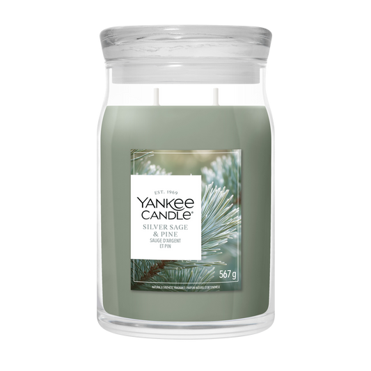Silver Sage & Pine
