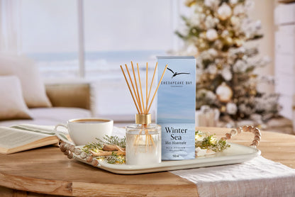 Mer d'hiver